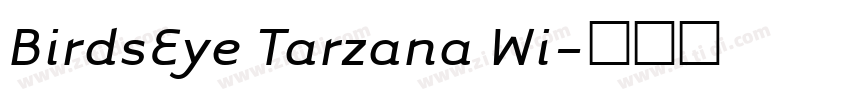 BirdsEye Tarzana Wi字体转换